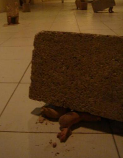 Bloqueados / Blocked