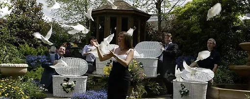 Dove Release Wedding Doves Funeral Doves