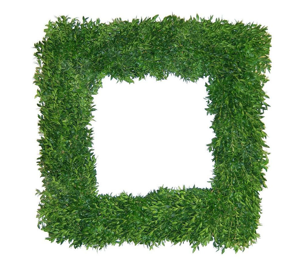 Boxwood Wintergreen Square Wreath
