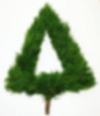 Lacy+Cedar+Tree+Wreath.jpg