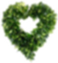 Heart+Wreath_Salal.jpg