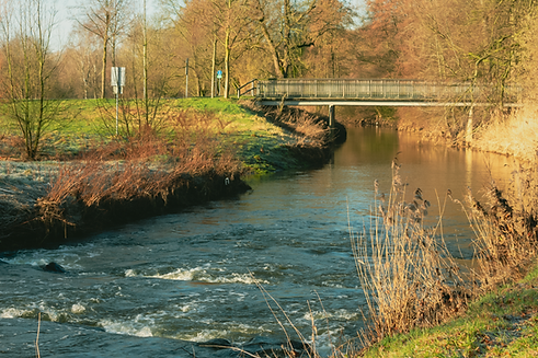 iStock-1130187048.png