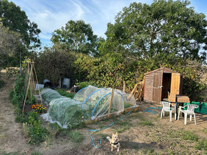We Have An Allotment!!