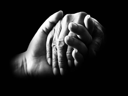 Flinch: Hope for empaths recovering from emotional trauma