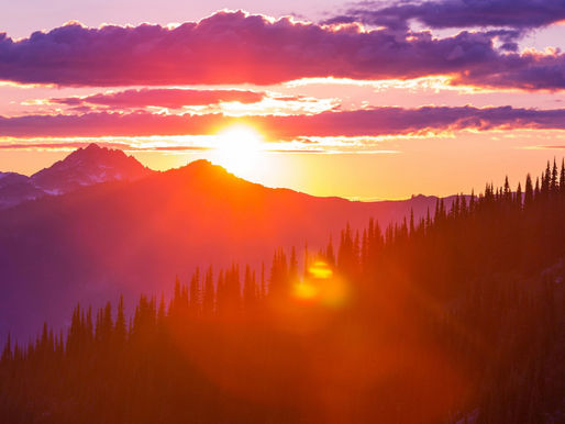 Finding Light in Adversity