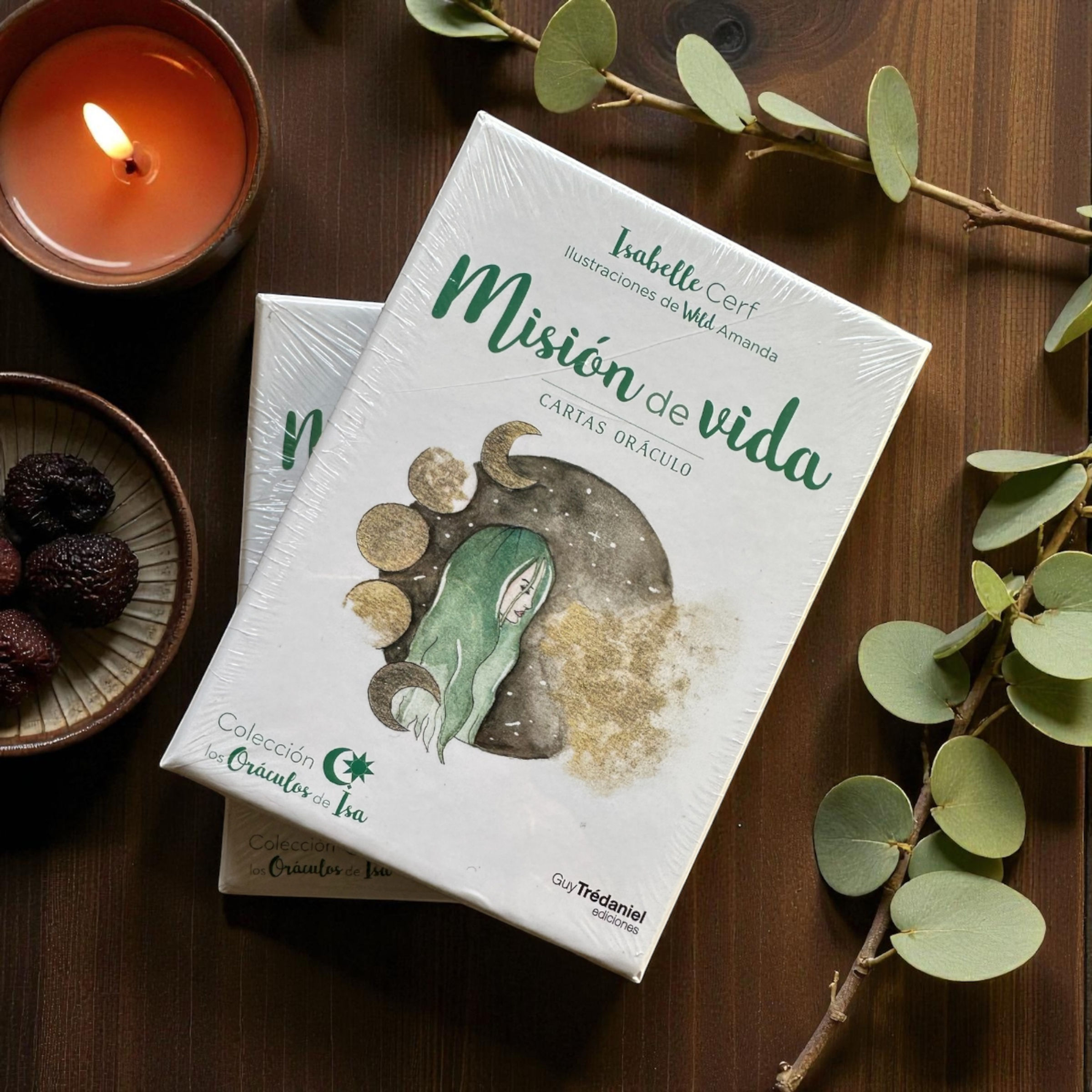 Misión de Vida Oráculo