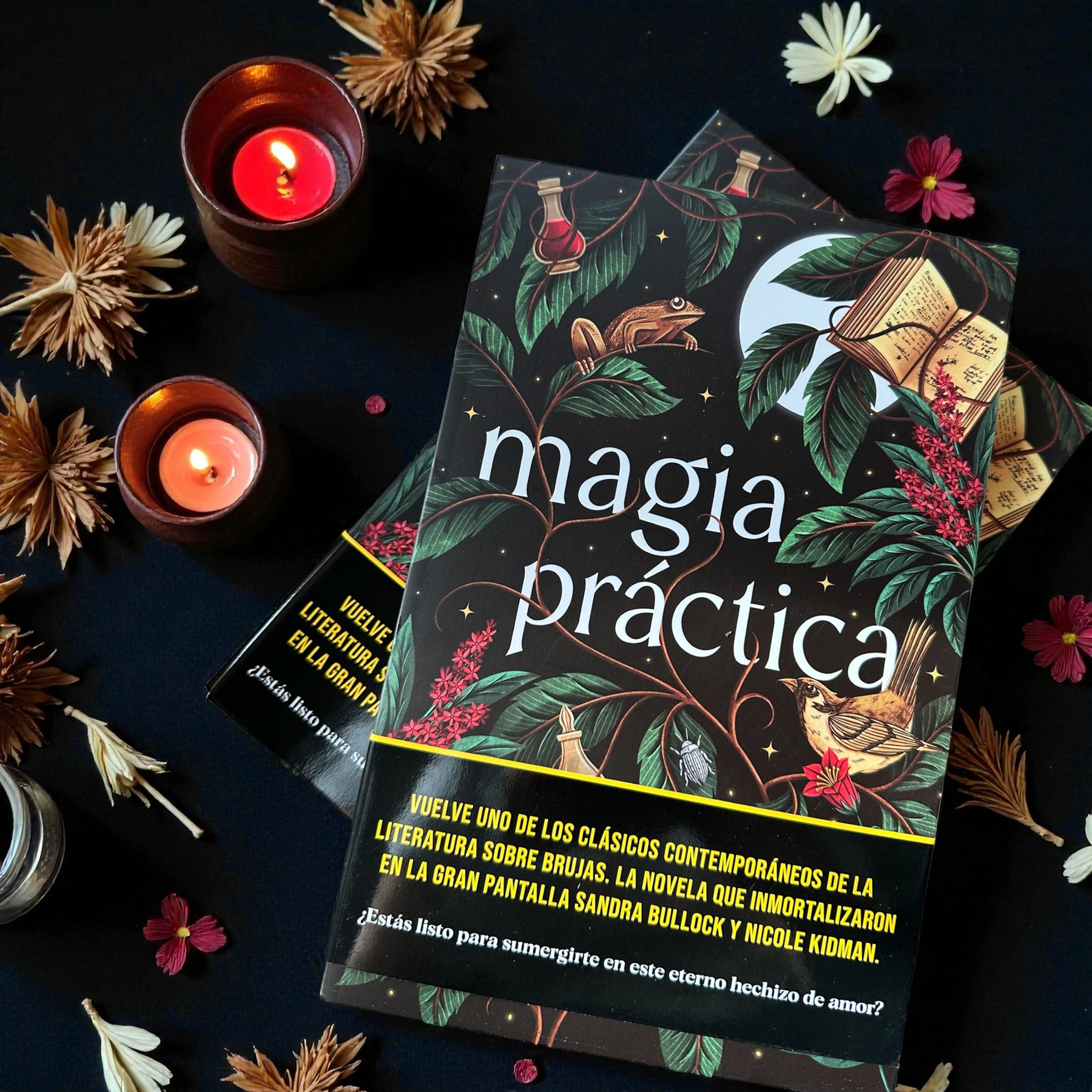 Magia Práctica (Novela)