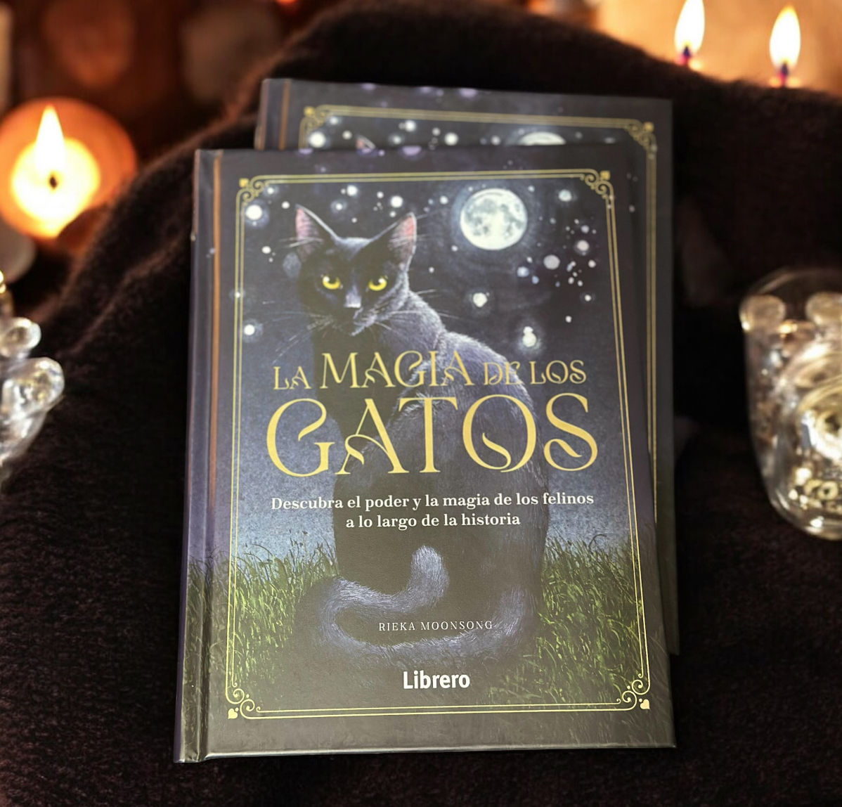 La Magia de los Gatos