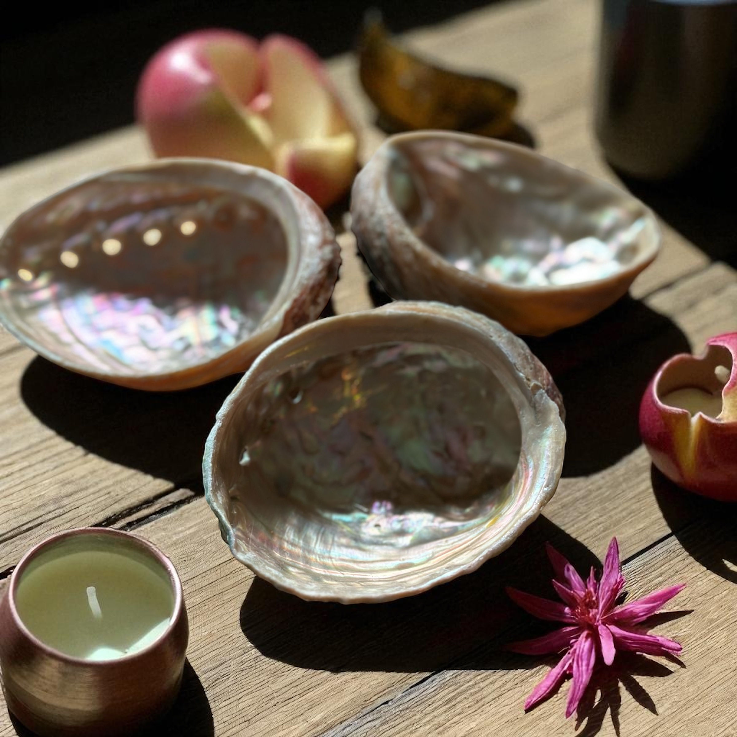 Concha Abalón roscado