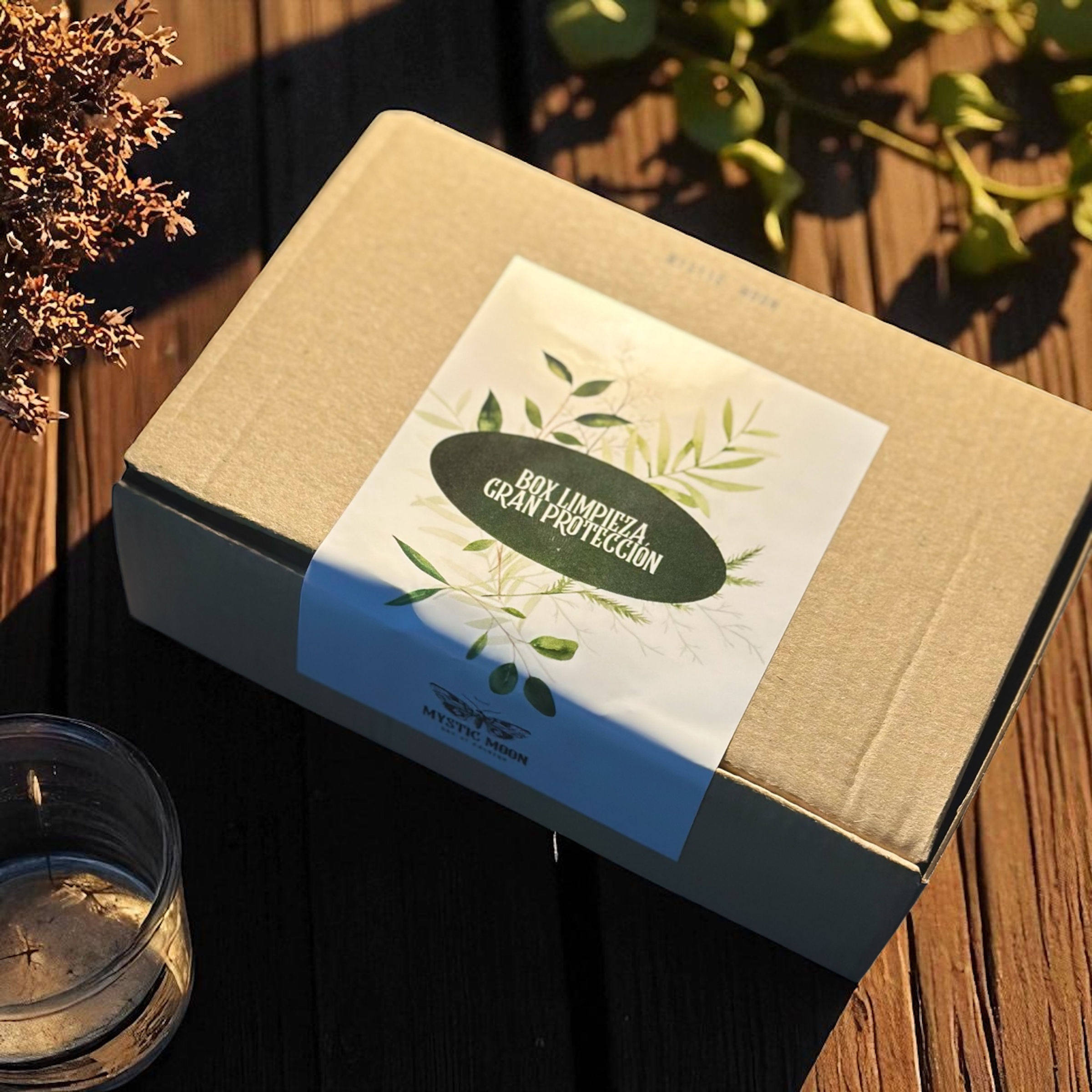 Box Limpieza y gran Protección