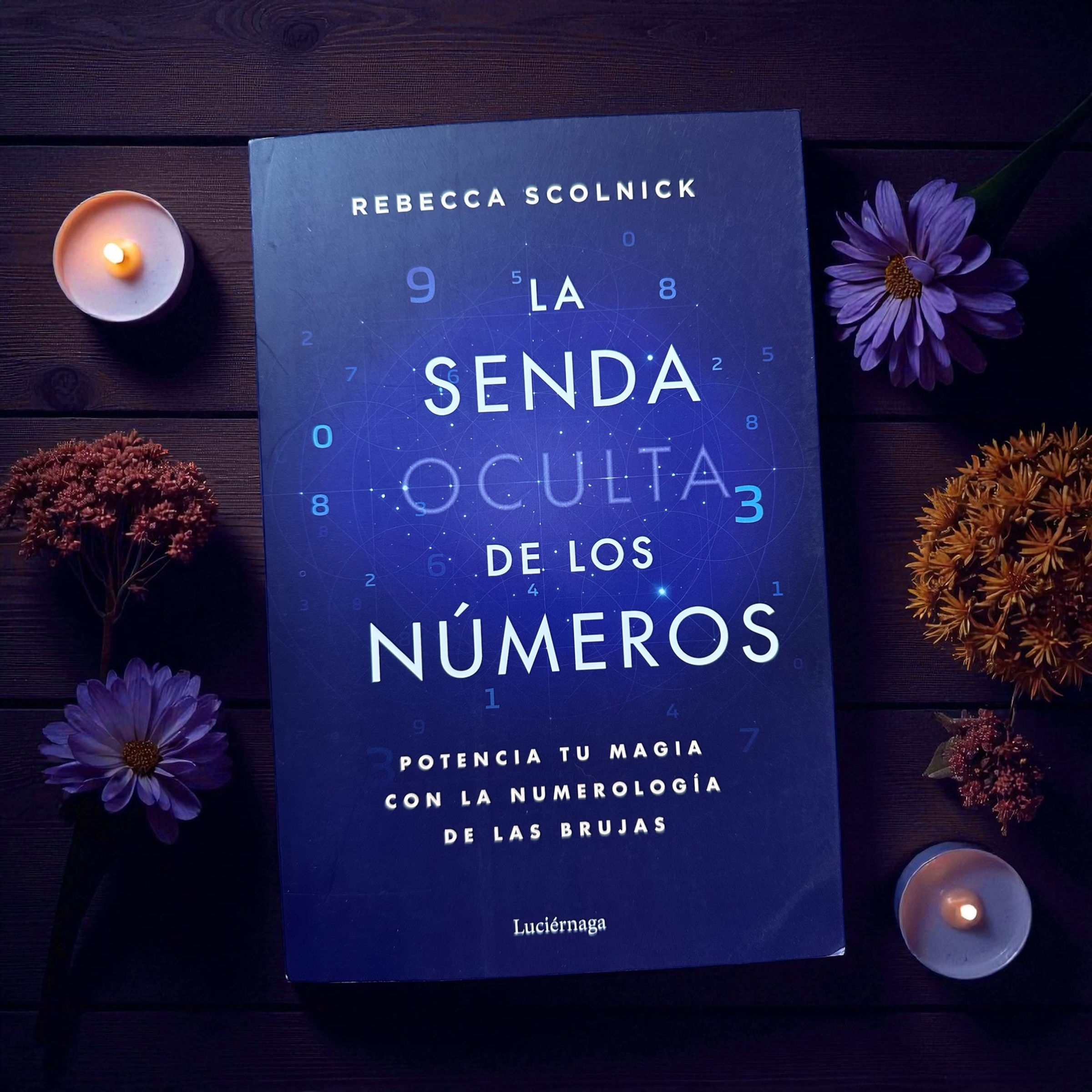 La senda oculta de los Números