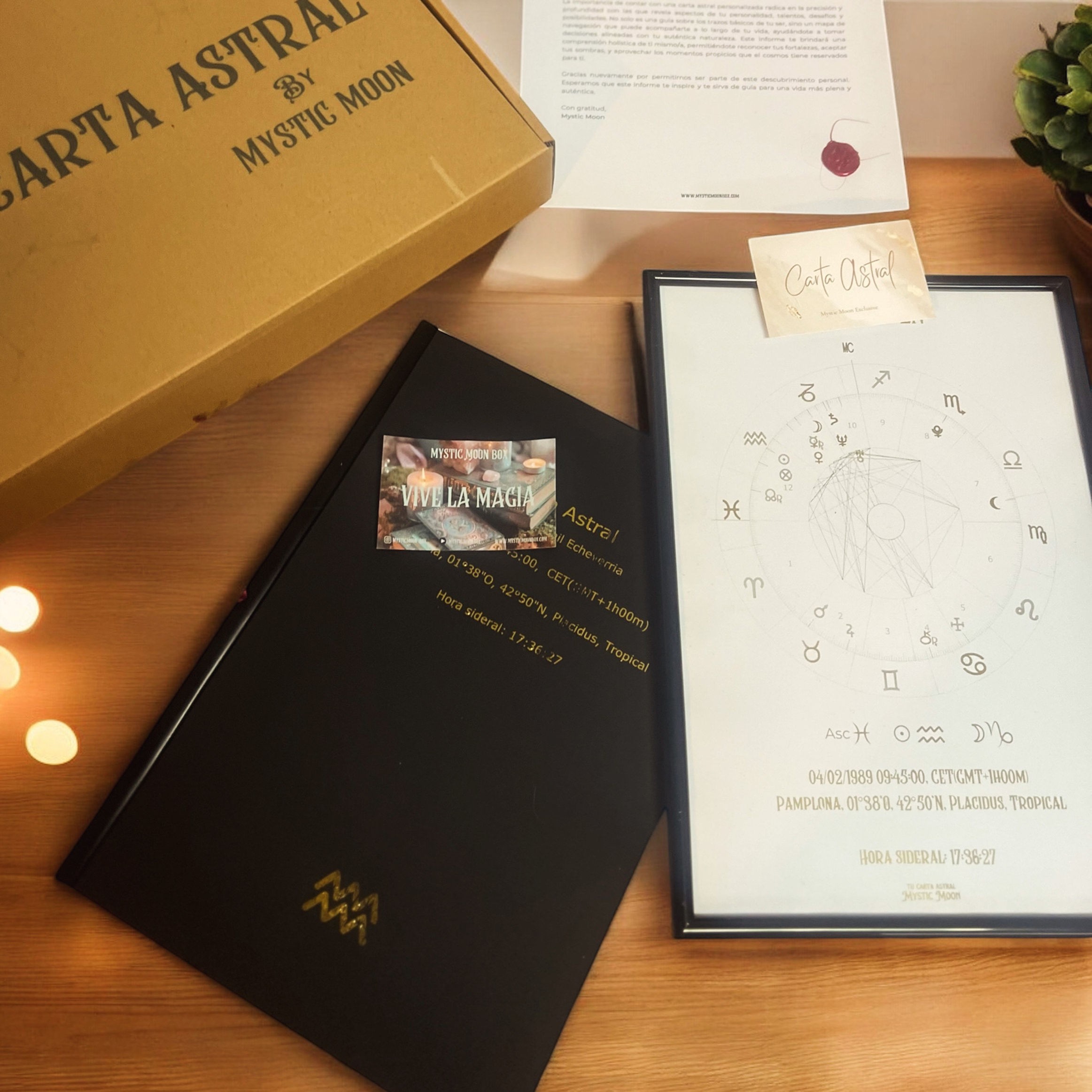 Carta Astral Profesional