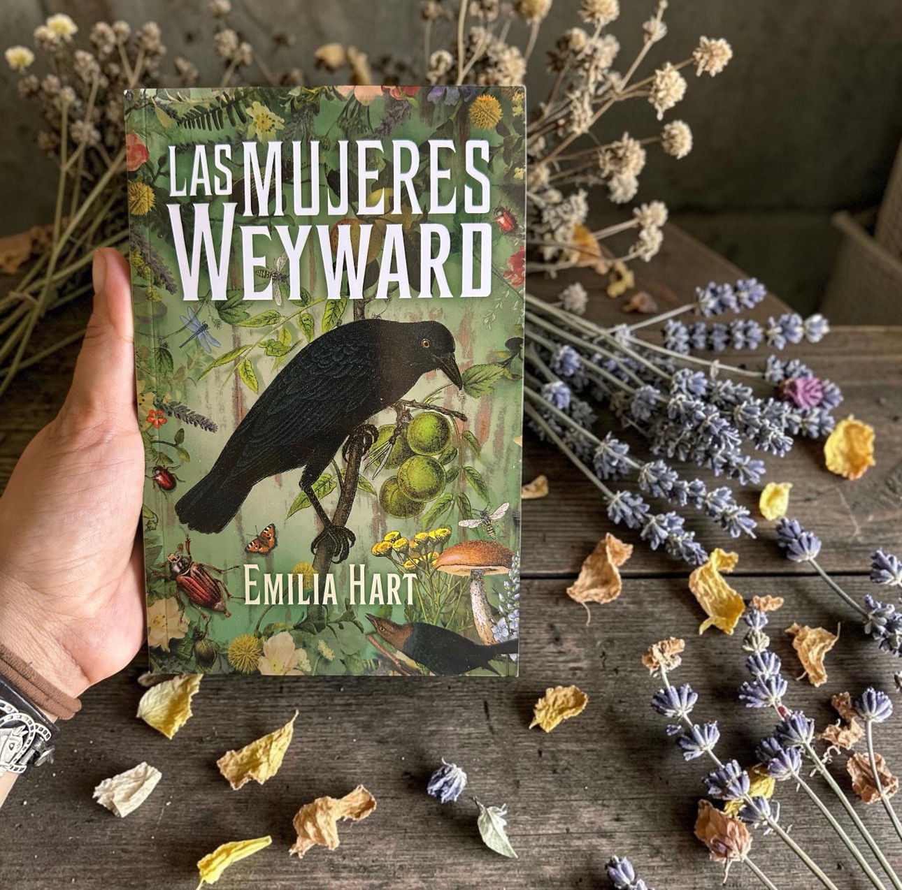 Las Mujeres Weyward (Novela) debolsillo
