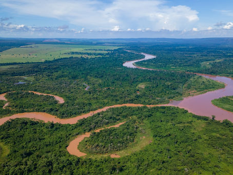 Rio São Lourenço e mata de transição
