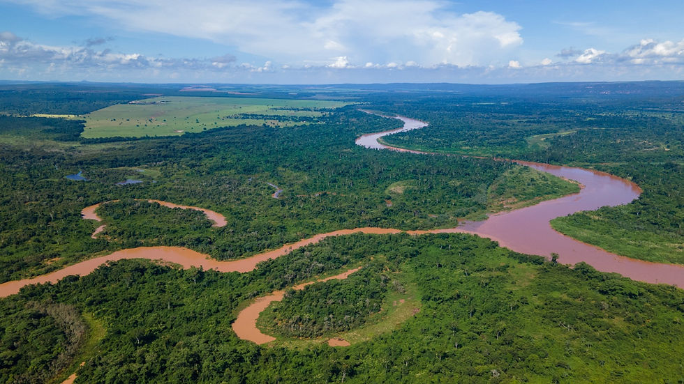 Rio São Lourenço e mata de transição