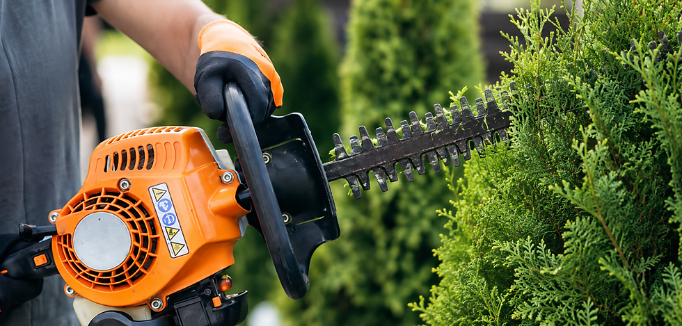 Commercial Lawn Care Services