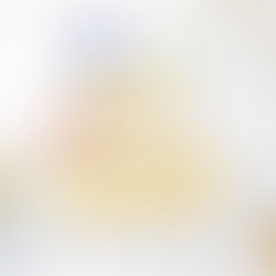 Зураг авалтын эрхийн бичиг ашиглах заавар