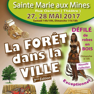 La Forêt dans la ville à Sainte Marie aux Mines