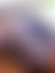 WRC 5 FIA World Rally Championship