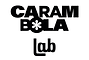 Carambola Lab.png