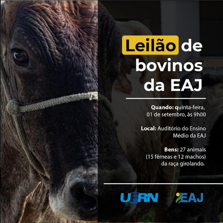EAJ vai realizar leilão de bovinos da raça girolando