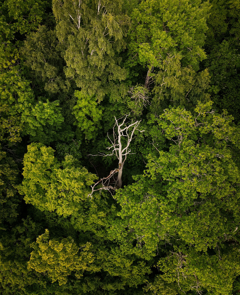 Selling Sustainability