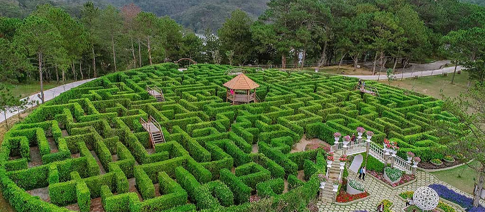 Khu Mê Cung Tình Yêu (Khổng Lồ 24.000 Cây Xanh). (Ảnh: sưu tầm)