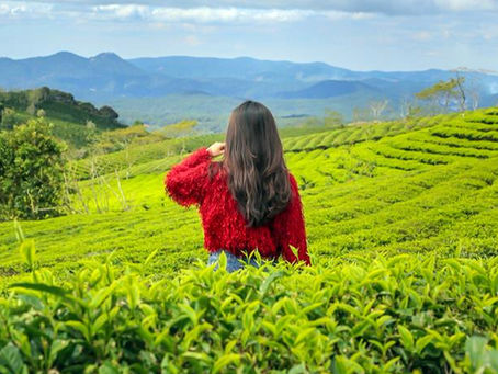 lịch trình du lịch đà lạt 1 ngày