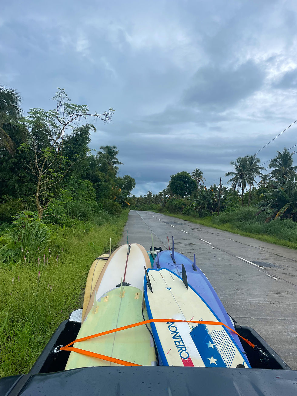 Palm trees and tropical landscape in Siargao