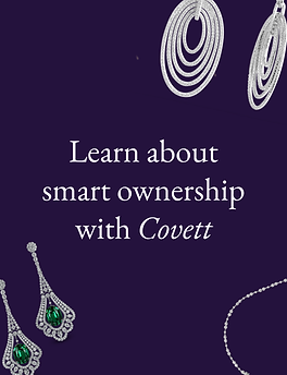 Learn about smart ownership.png
