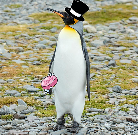 1200px-SGI-2016-South_Georgia_(Fortuna_Bay)–King_penguin_(Aptenodytes_patagonicus)_04.jpg