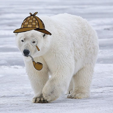 Polar_Bear_-_Alaska_(cropped)(1).jpg