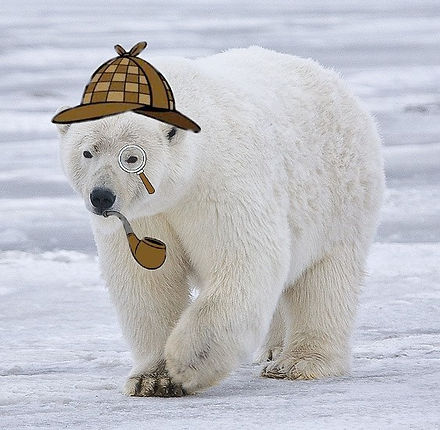 Polar_Bear_-_Alaska_(cropped)(1).jpg
