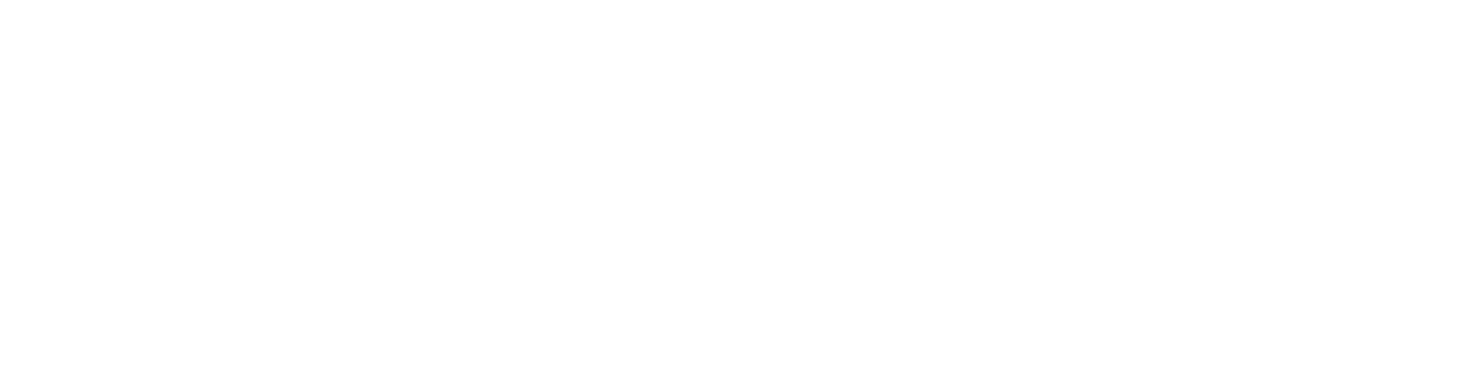 Kopie von VISI (1).png