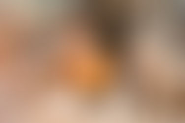 Você sabe o que é Ictiologia? 