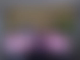 健康蔬食 傳遞愛心 (牛頭角)