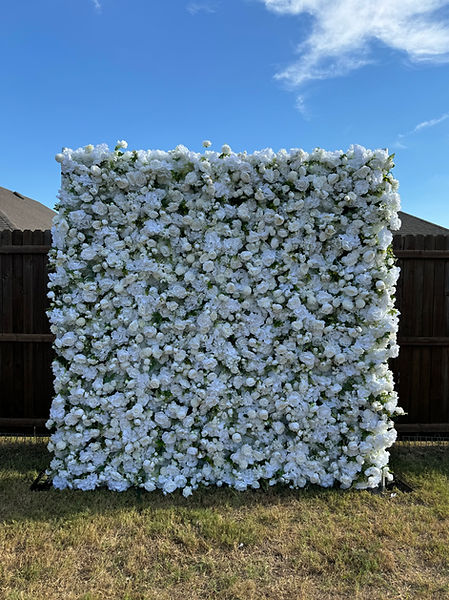 Wedding White Flower Wall in DFW