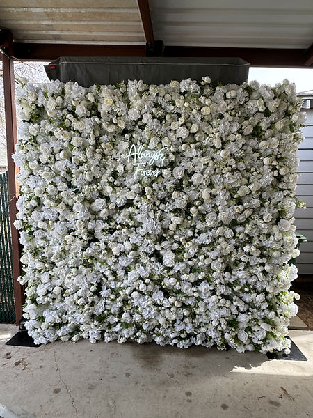 Wedding White Flower Wall in DFW