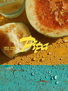 pipadesignsArtboard 3.jpg