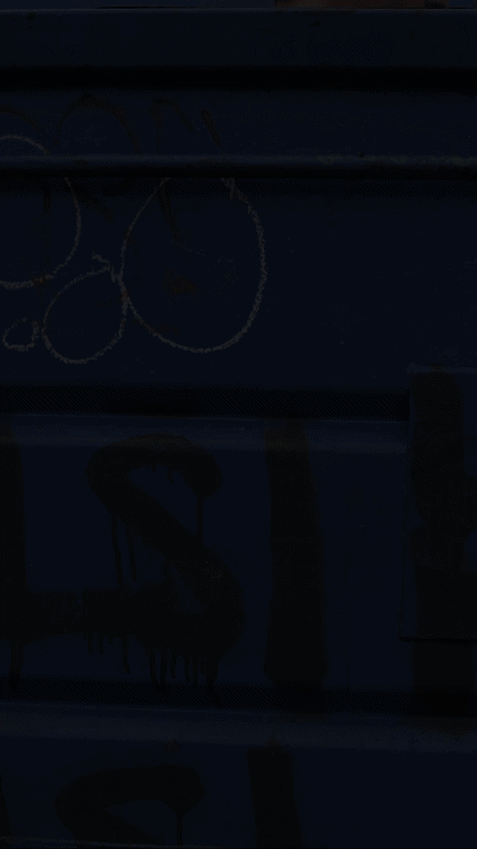 NF gif 6 alt.gif