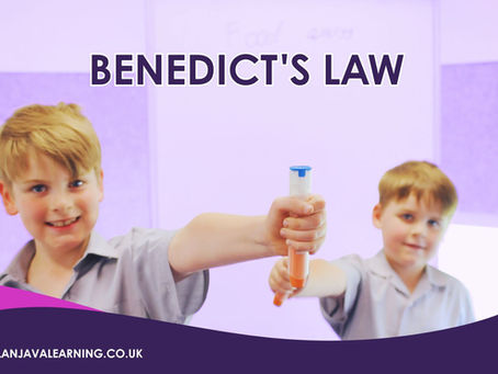 School children holding adrenaline auto-injectors illustrating Benedict's Law and allergy safety guidance for schools in 2026.