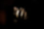poor boy pic.jpg