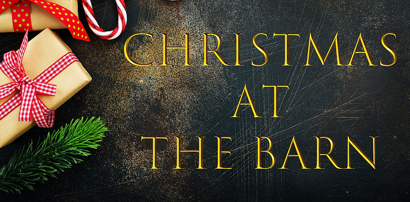 christmas-background-P2BLALF_edited.jpg
