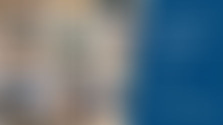 Make Your Offer on a Complete Hammer Mill Plant by 30 April!