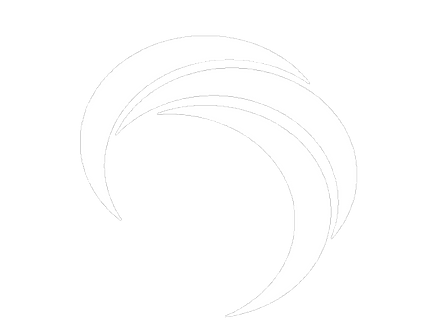 Logo-Whitet_edited.png