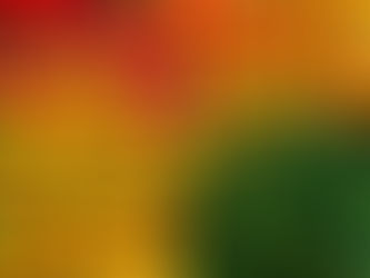 Plants are in! Things are starting to heat up at the market! 🌻 Les plantes sont arrivées au marché!