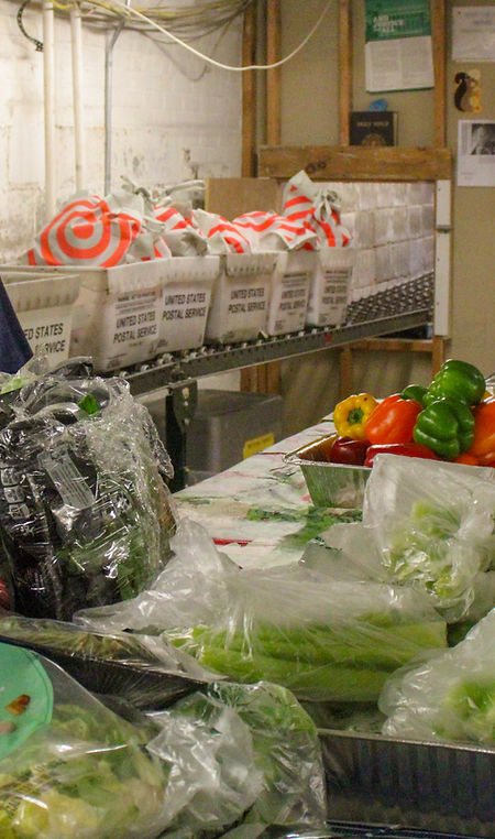 Clear Fresh Veggie Photo.JPG