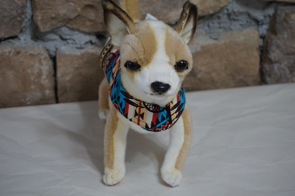 Coco modeling the small southwestern design dog harness.