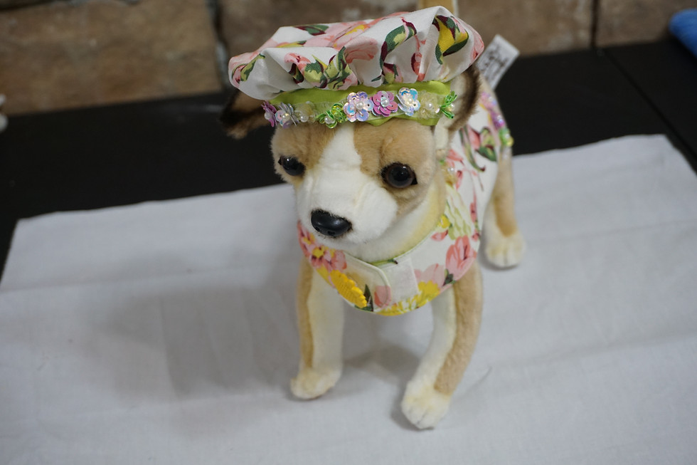 Front view of the harness modeled by GiGi wearing the included hat.