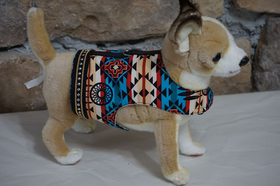Thumbnail: Coco modeling the side view of the small dog harness.